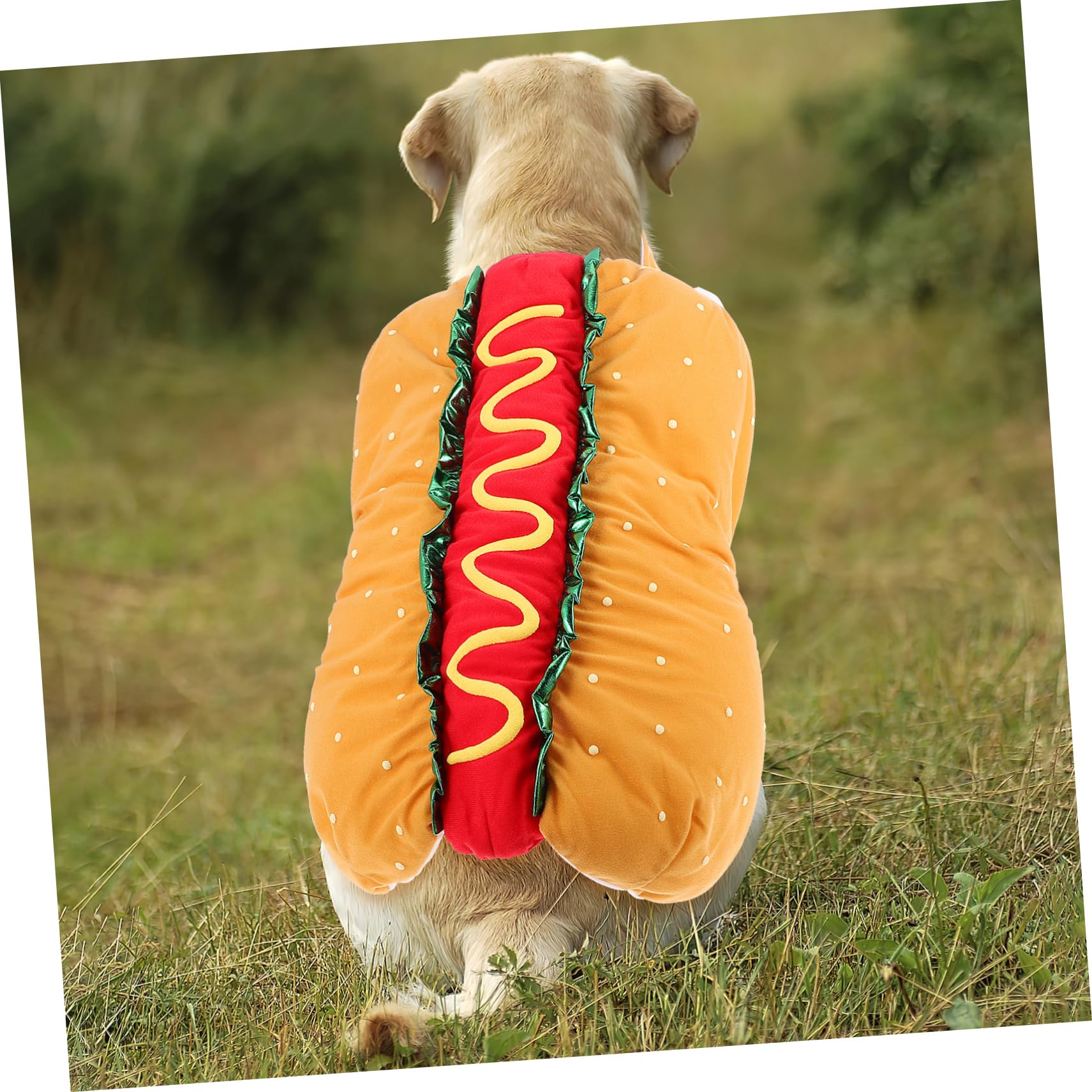 ibasenice Costume di Natale per Gatto e Cane Vestito Festivo in Poliestere Leggero