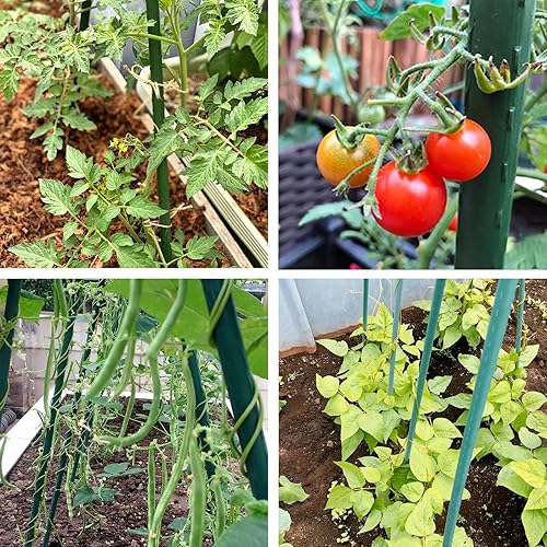 Miniatura 8 de Juego de 20 estacas de jardín de 4 pies con estacas de tomate para soporte de plantas al aire libre, 0.43 pulgadas de diámetro