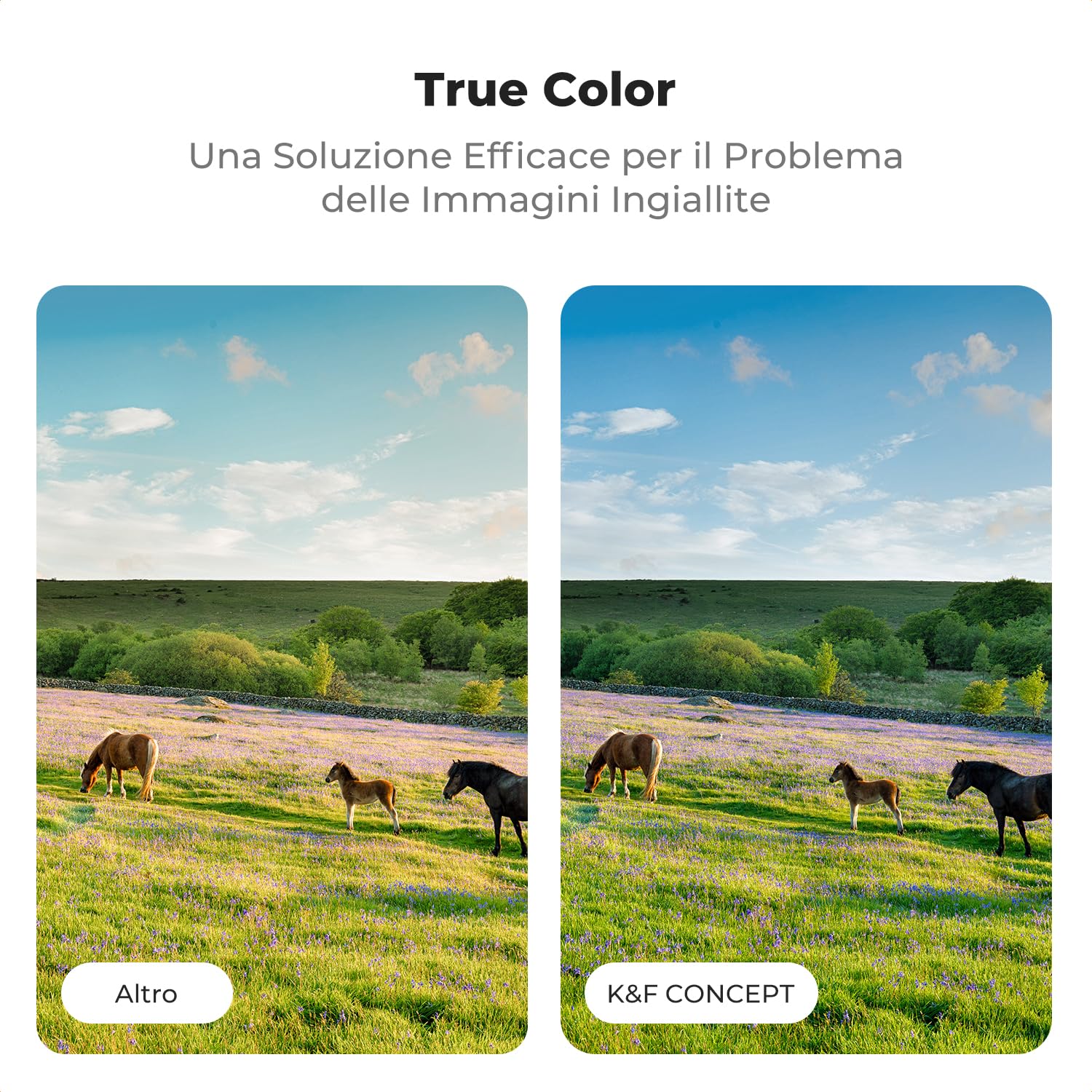 K&F CONCEPT Nano-Xcel 82MM ND2-32 Variabile Filtro True Color & Riflettività Ultrabassa，Filtri Densità Neutra ND2-32(1-5 Stops）in Vetro Ottico con 28 Strati Nano Rivestimento