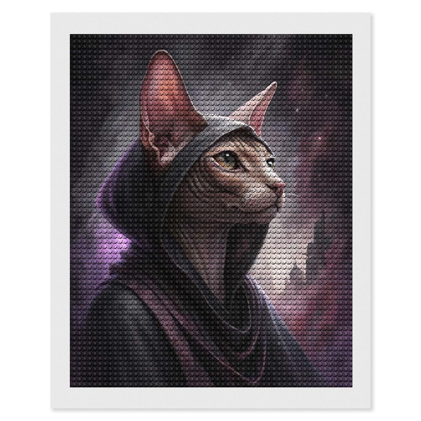 Junmoney Sphynx Cat Wizard in Cosmic Robes Diamond Painting Canvas Set 16"x20", for Beginners, Complete Accessories, Christmas Gift, Modern Decor