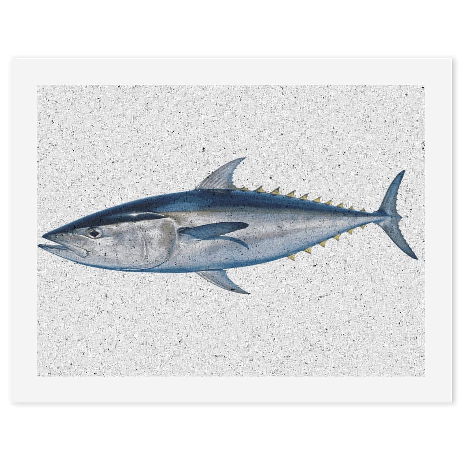 LDGSUPH Tuna Thunnus Paint by Numbers Kits for Adults Beginners Exquisite Digital Oil Painting Kits Painting Anti-fading Canvas Wall Art DIY Gift for Home Wall Decor