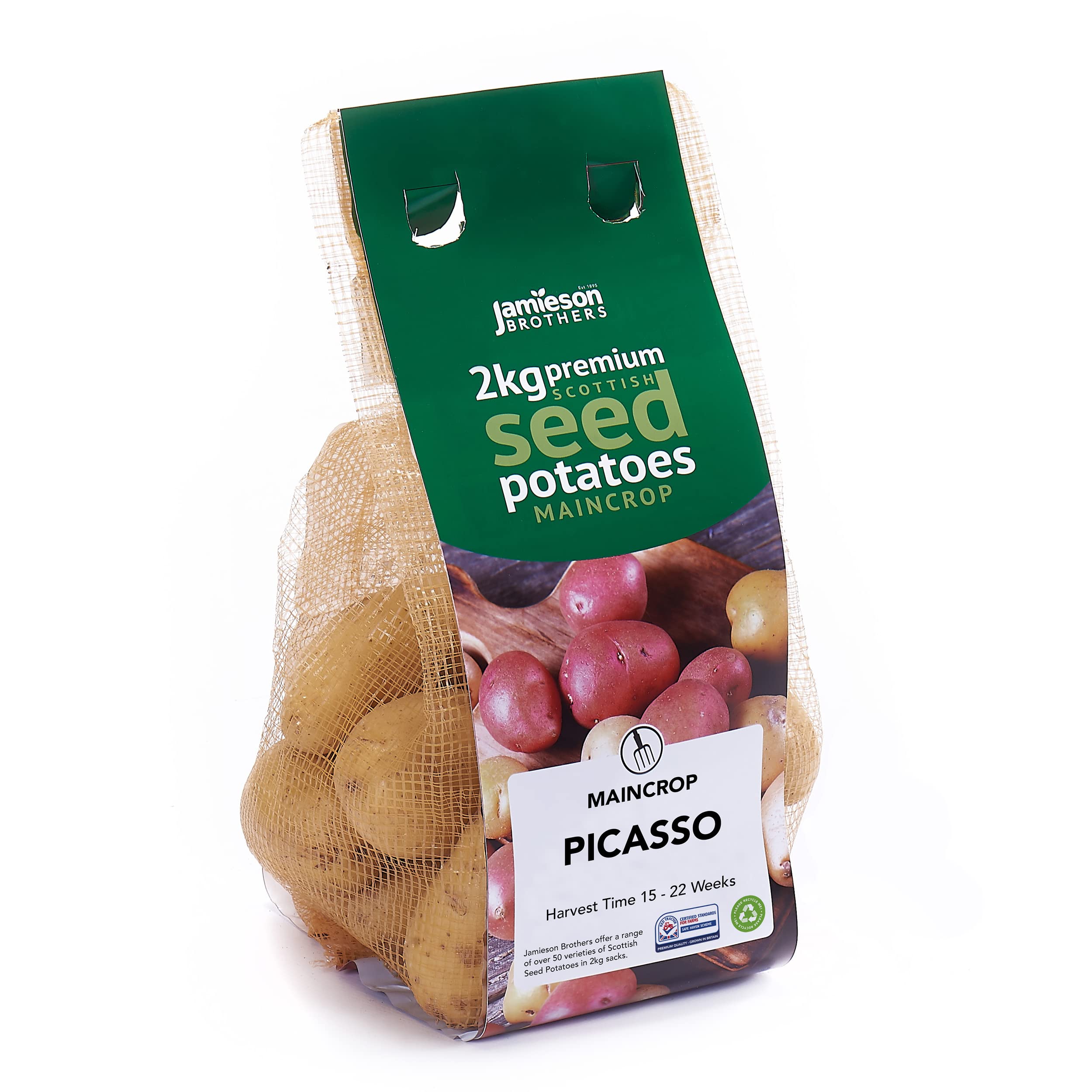 Jamieson Brothers 2kg Picasso Seed Potatoes – JBA Maincrop Grow Your Own Spuds – for Chips, Baking & Boiling – Scottish-Grown & Ready to Plant at Home in Pots, Gardens & Allotments