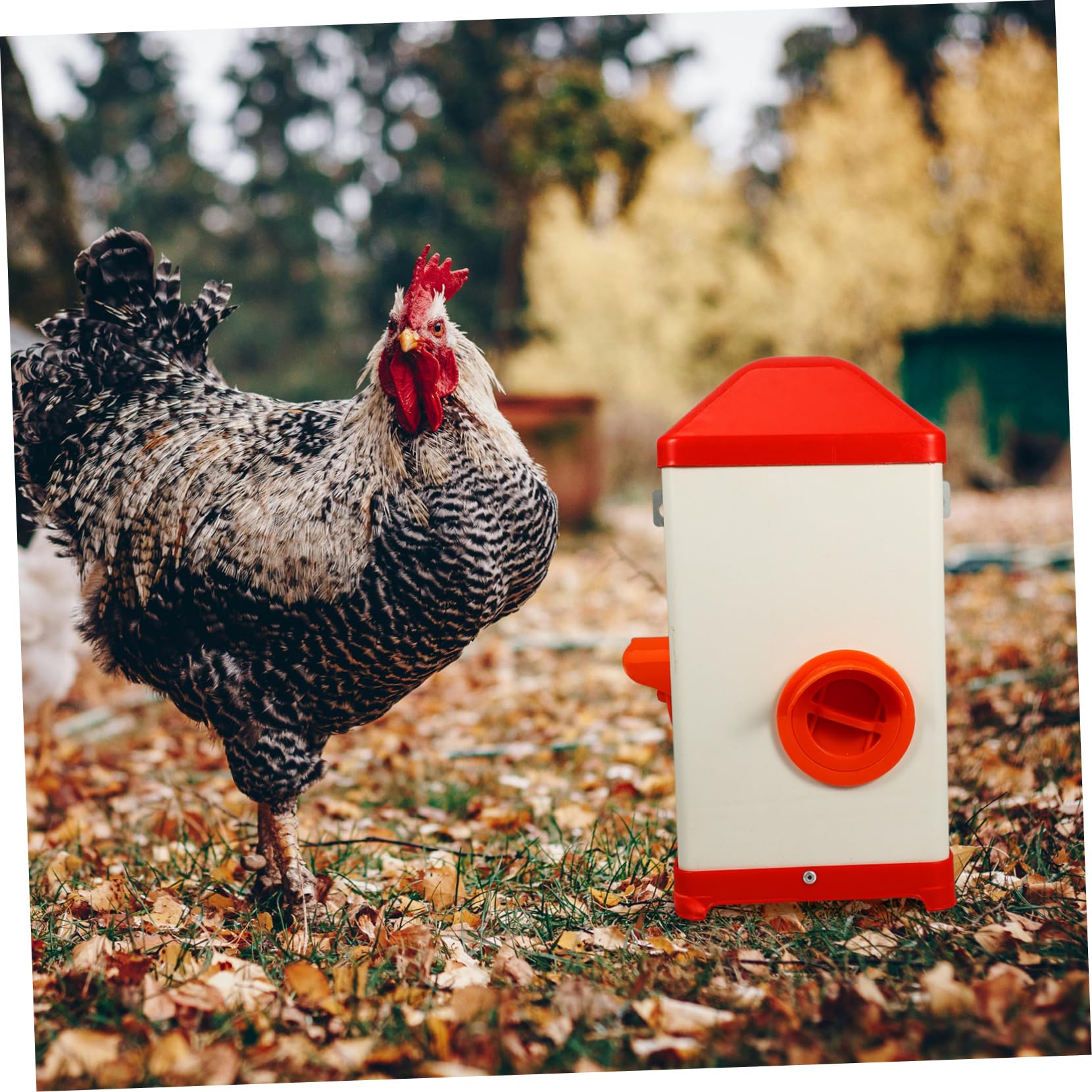 Contenedor Para Aves De Corral Comedero De Plástico Fácil De Llenar Resistente