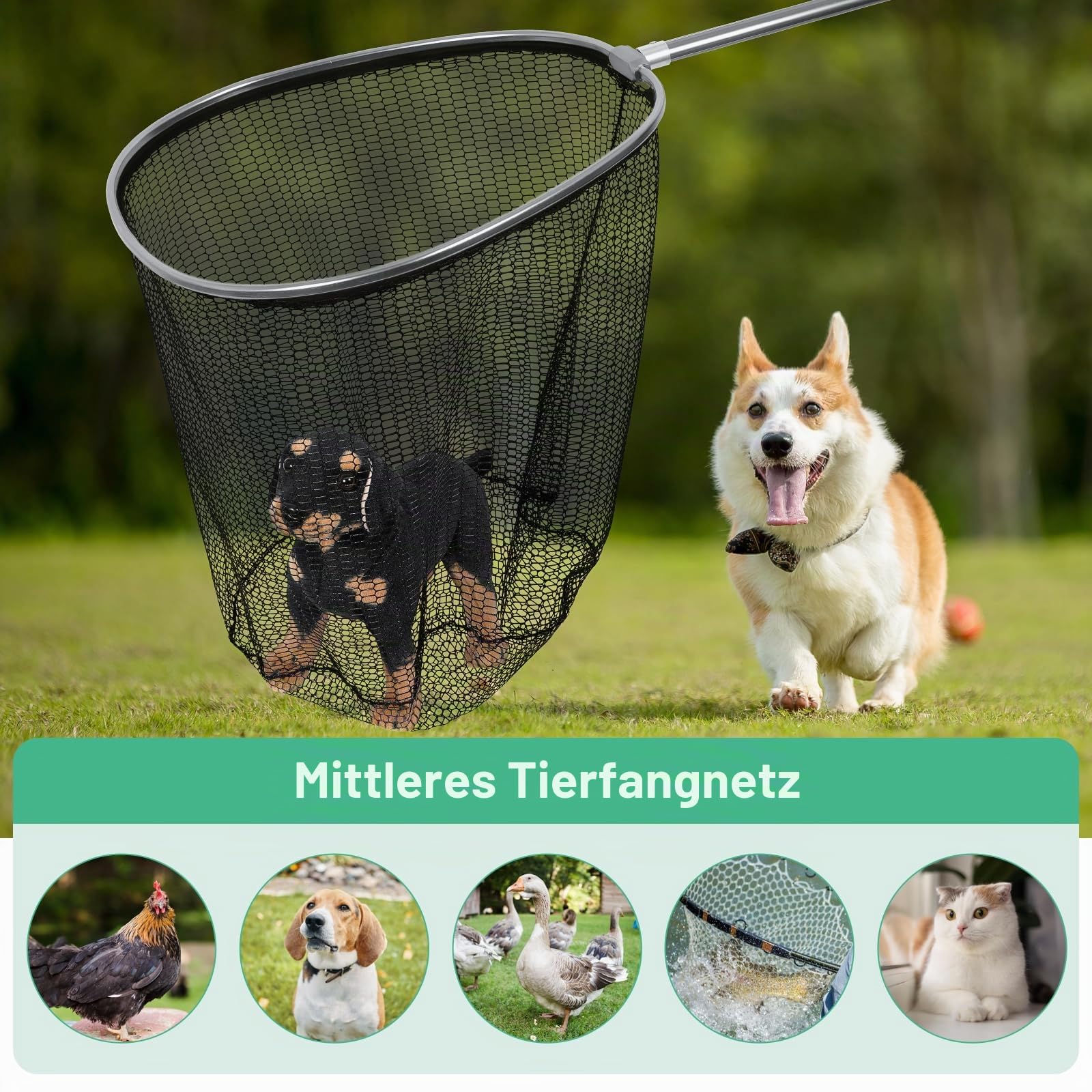 Fangnetz für große Tiere, mit 53,3 cm Netzöffnung, Hühnerbeinhaken mit Teleskopgriff, 94,4-240,9 cm, für Enten, Gänsefische, Katzen, Vögel, Taube, Waschbär und andere