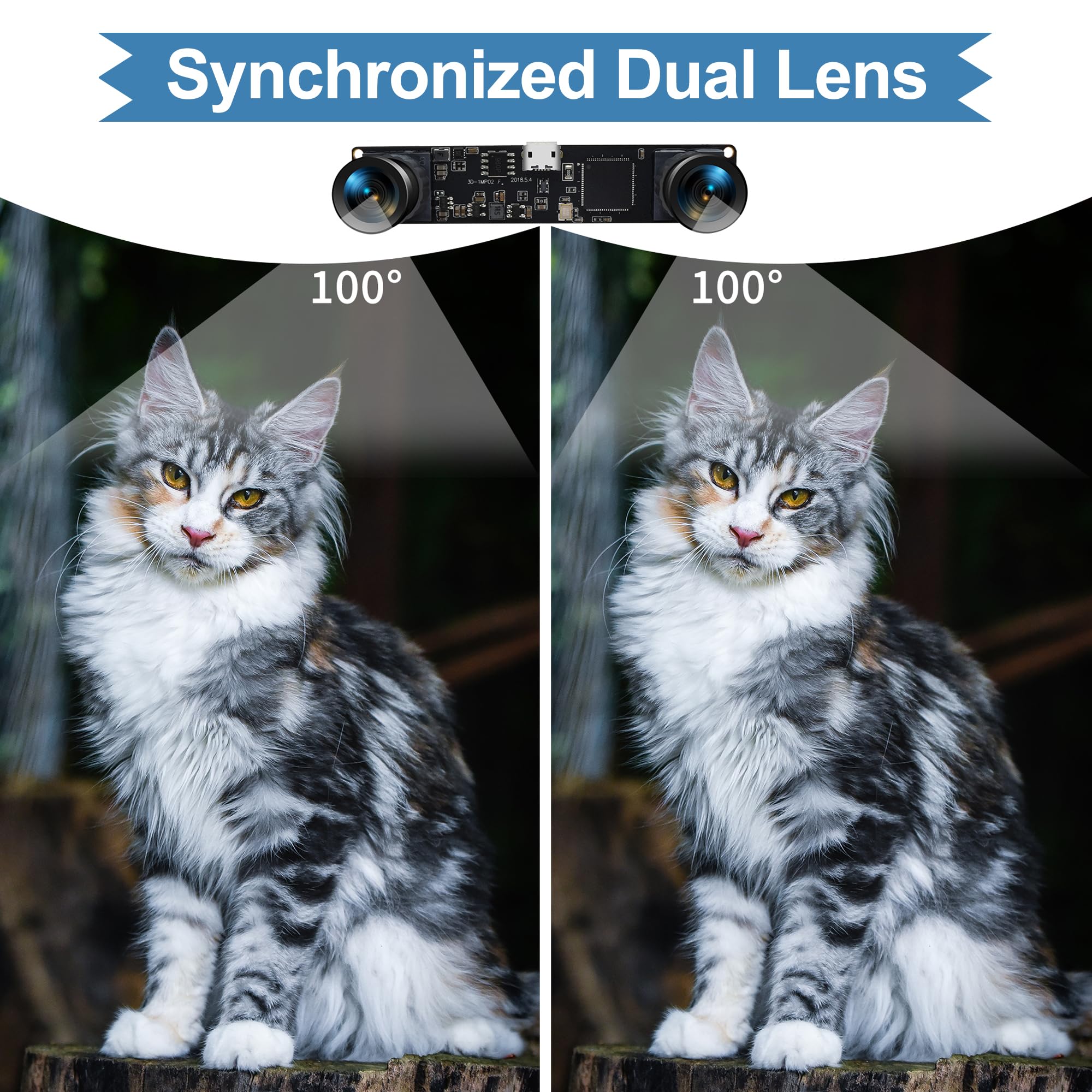 Webcam,Webcam con Microfono para PC Full HD 1080P
