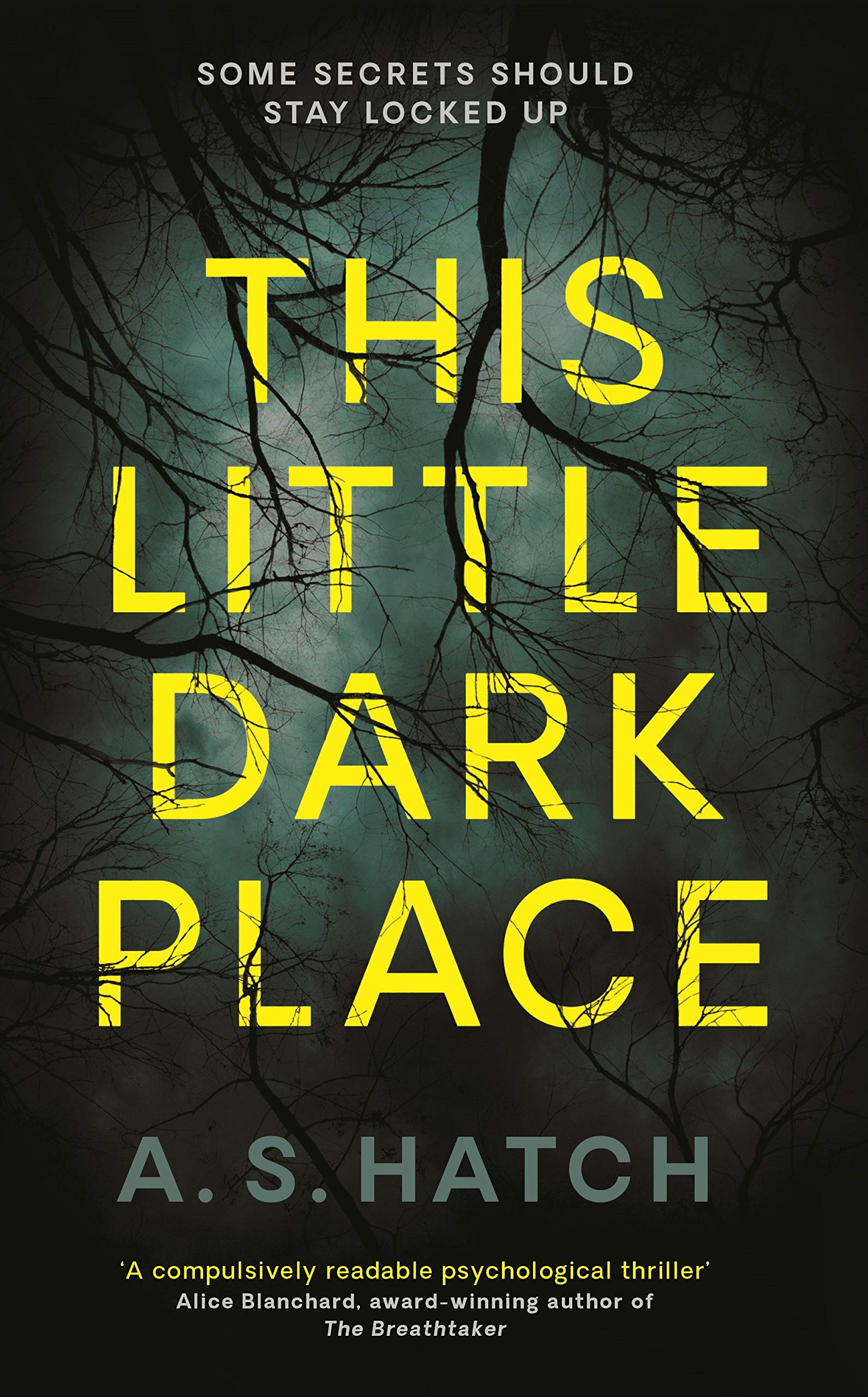 Buy This Little Dark Place — BookShops.in