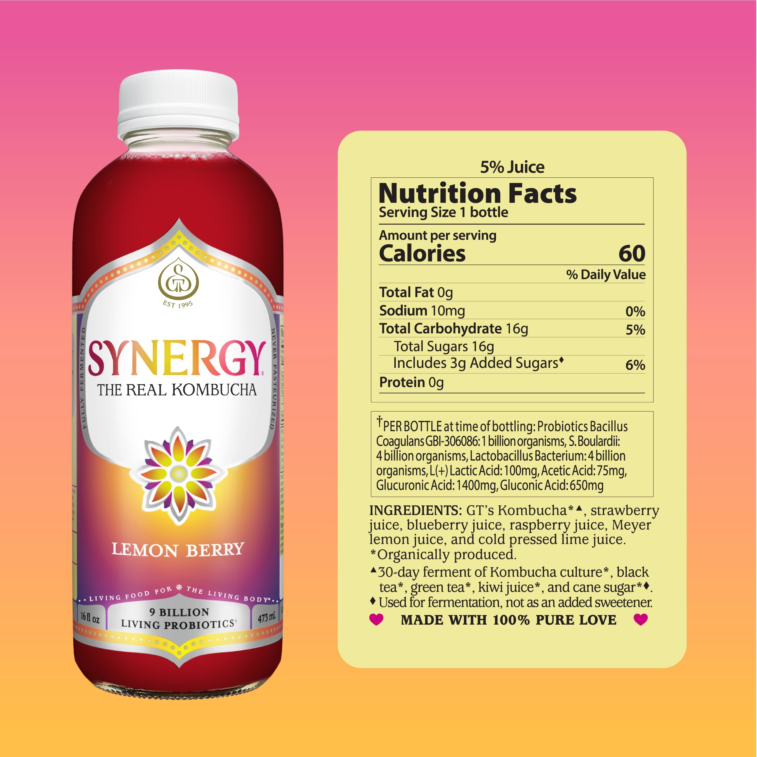 Amazon.com: SYNERGY The Real Kombucha - Lemon Berry - 16 fl oz