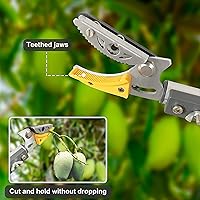 Vista 6 de Podadora telescópica de árbol de 4.5 a 10 pies con 3 secciones de longitud ajustable, podadora de corte y sujeción, sierra de poste extensible