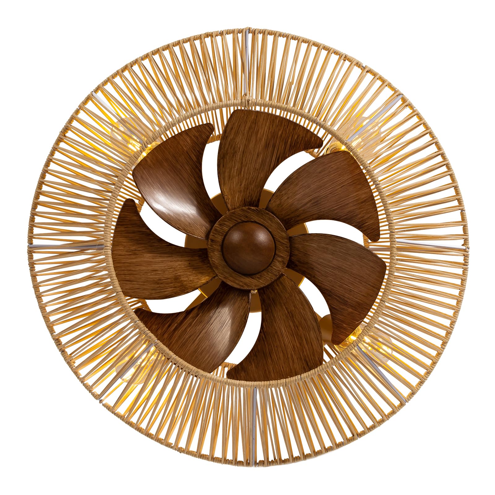 AYHB♡F Amazon.com: ZYD 20