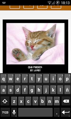 WhatsApp Cats