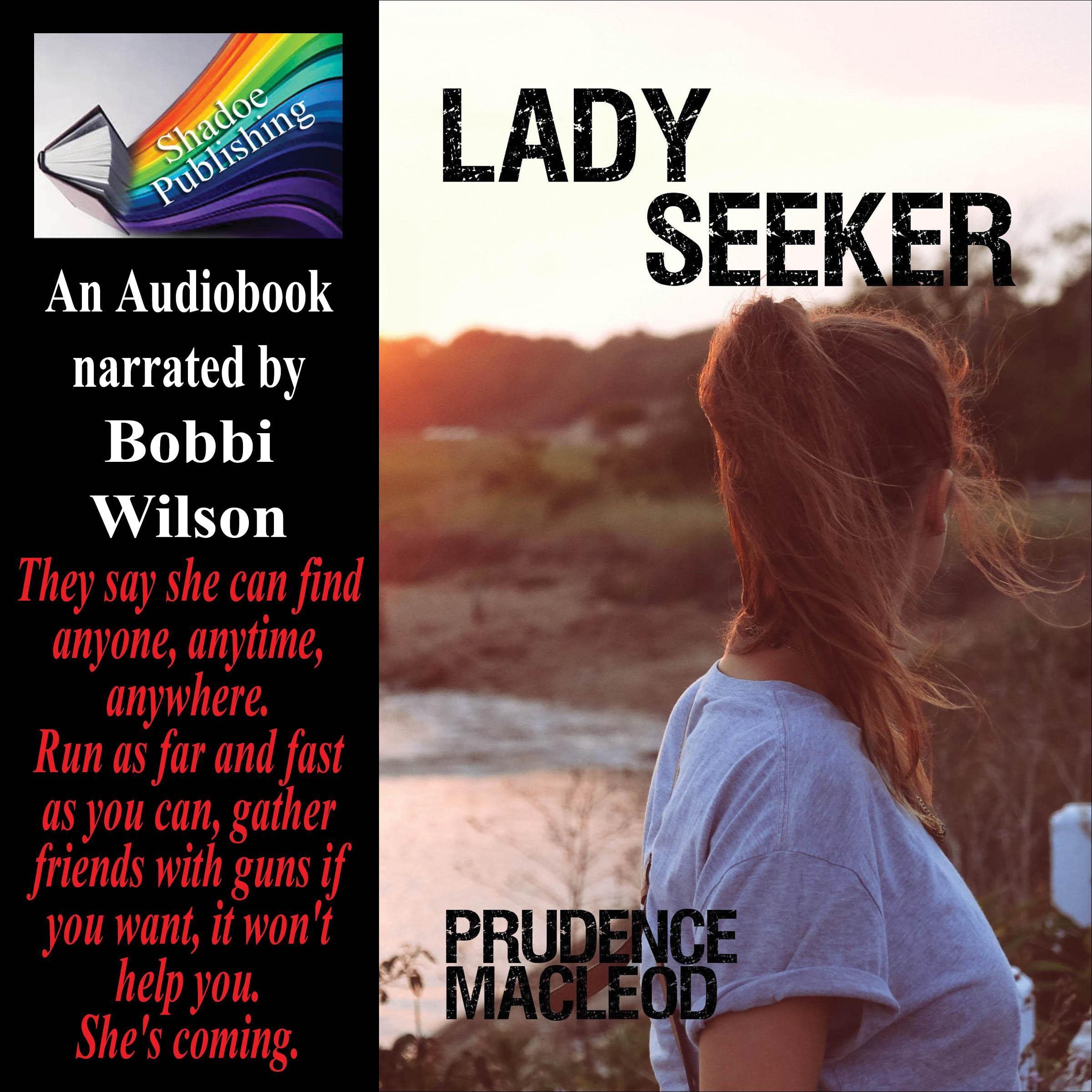 Cover art for Lady Seeker
