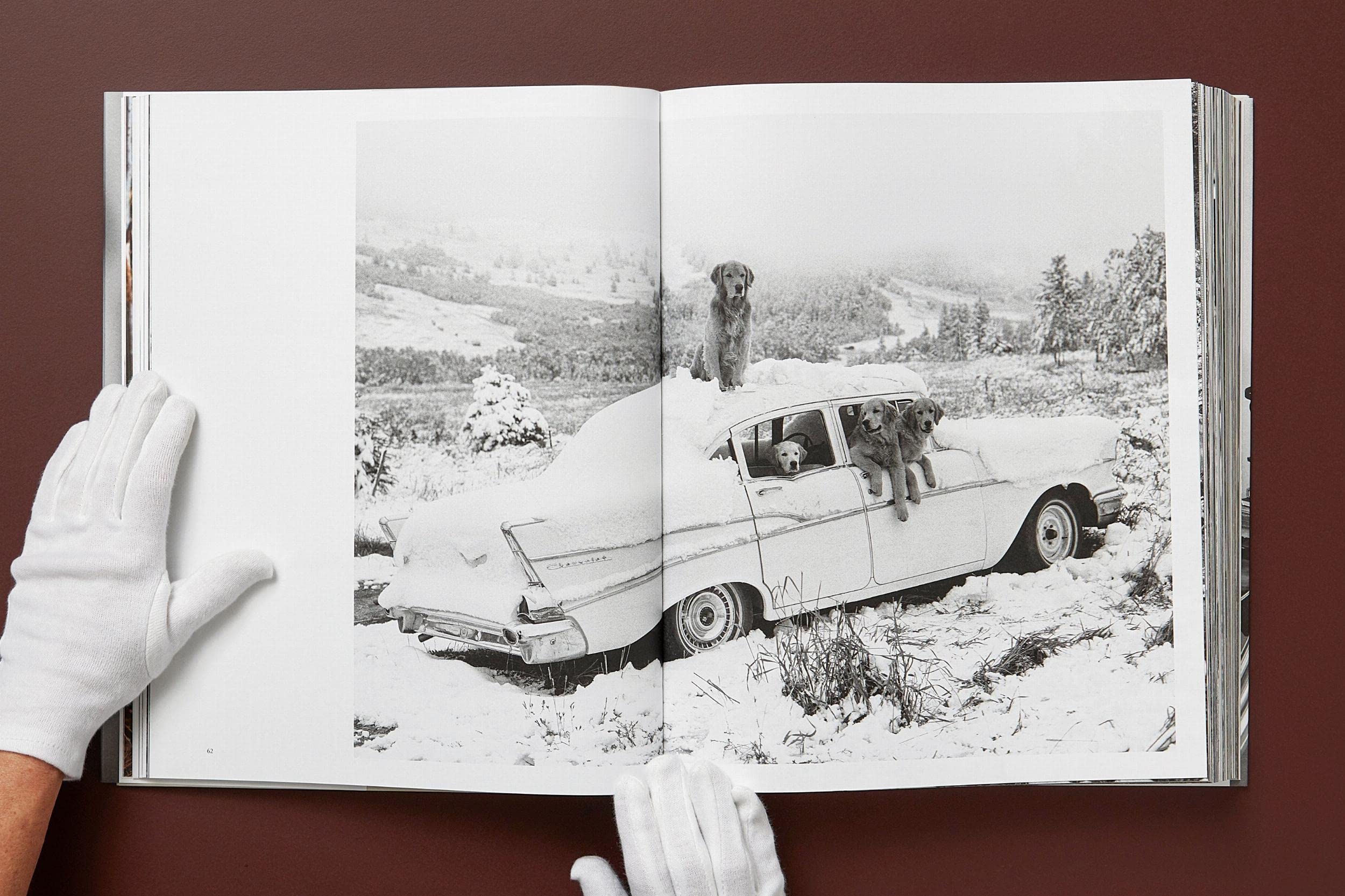 Bruce Weber: The Golden Retriever Photographic Society