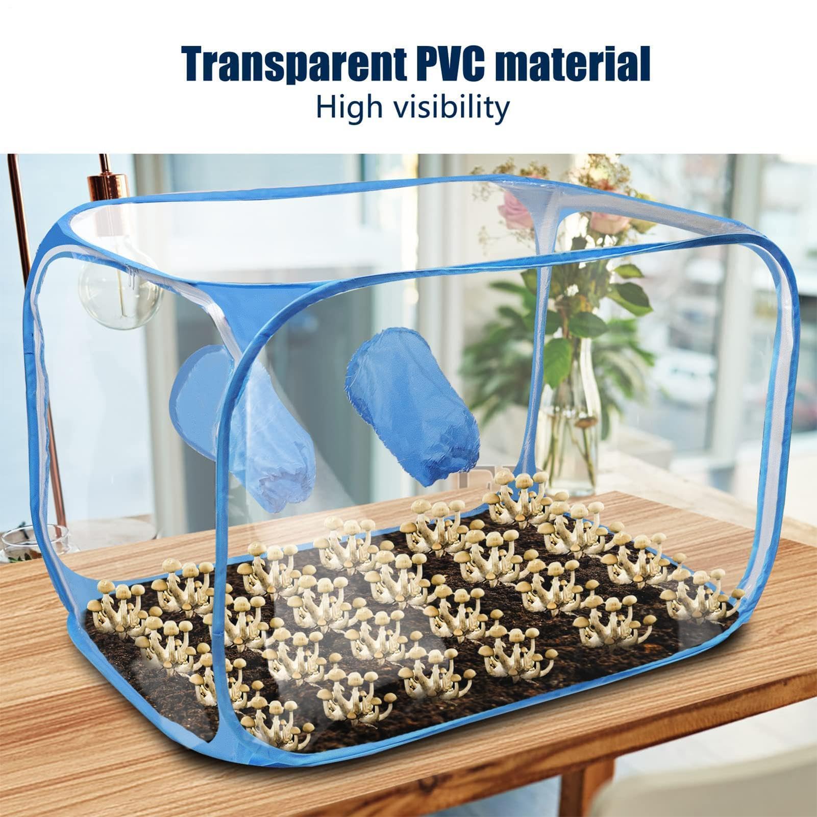 Grow Box Funghi Serra Pieghevole Design Pop-Up