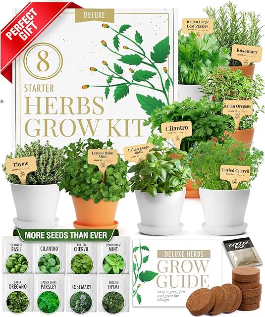 HOME GROWN Gift Herb Kit – 8 Herb Seeds Set with Basil, Cilantro, Mint &...
