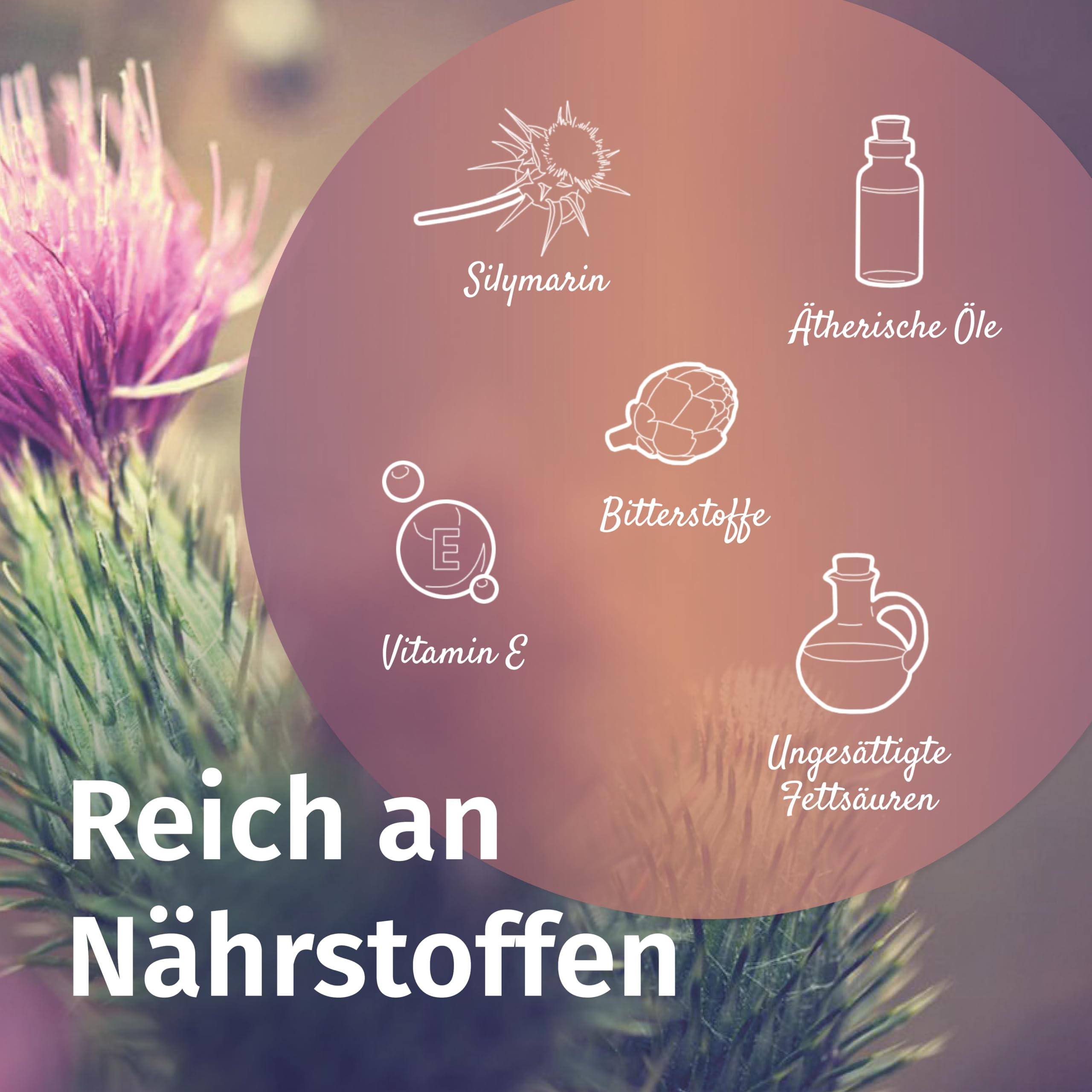 Martenbrown® Nasiona ostropestu plamistego 2,5 kg dla koni, psów i kotów – całe nasiona ostropestu plamistego bez dodatków - 100% produkt naturalny