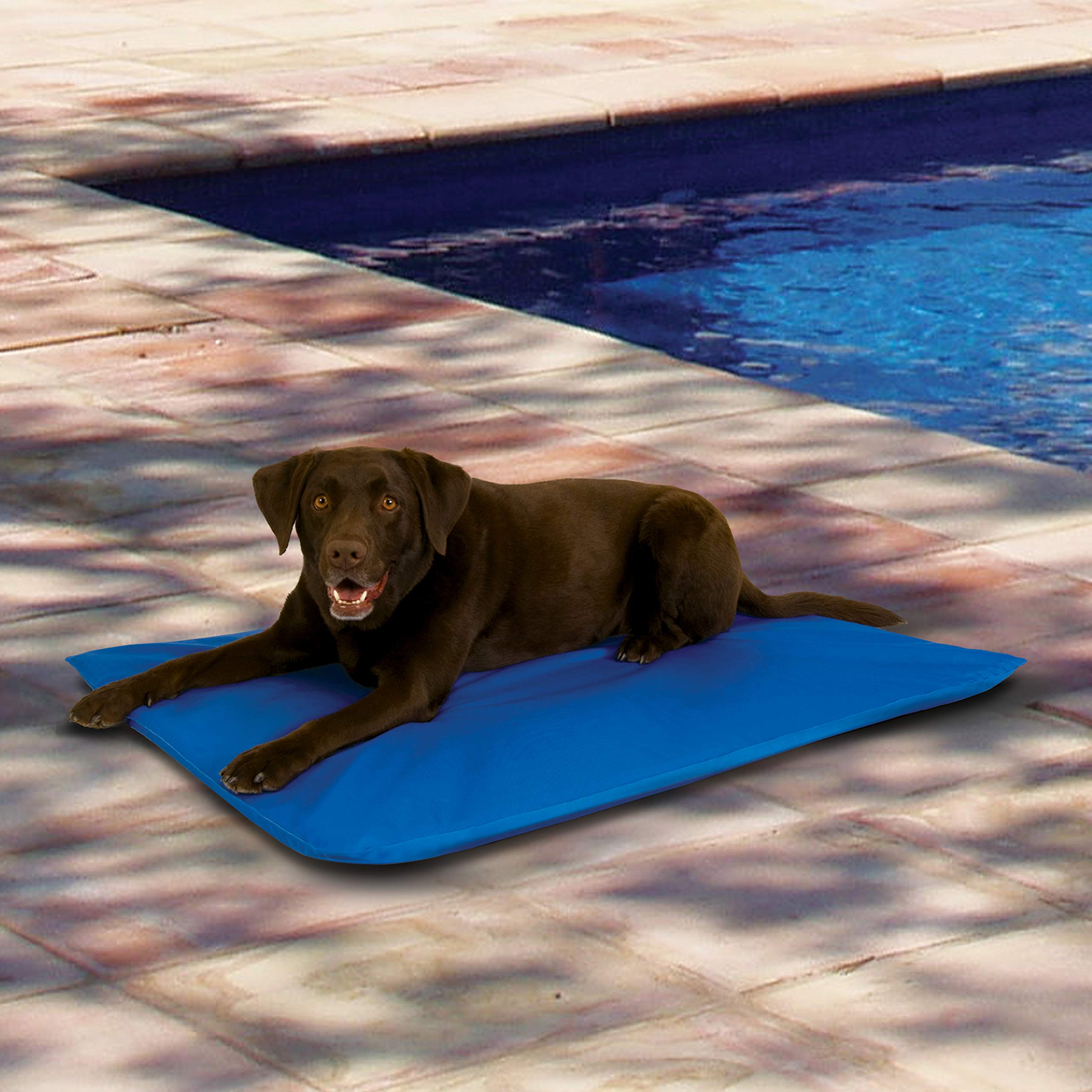 cooling water bed for dogs