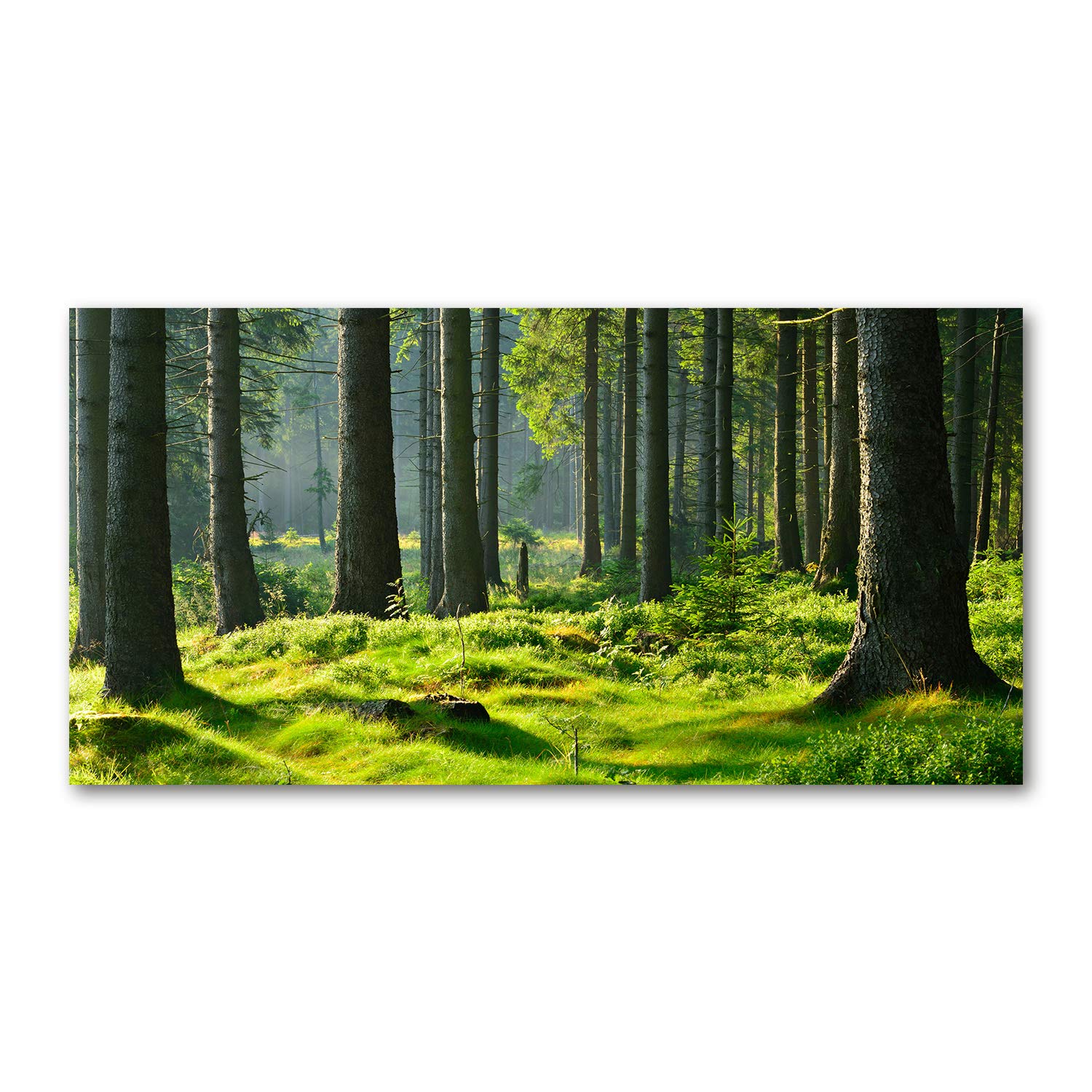 Tulup Obraz na płótnie - 120x60cm - Wydruk na Ścianę do Salonu Kuchni Kanwa Canvas Zdjęcie - Las świerkowy