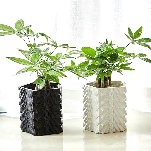 Miniatura 4 de Dragon Scales - Maceta y decantador  GOT, Fantasy I Plant and I Know Things  Jarrón de flores color mármol blanco de 6 pulgadas  Dragón Monster