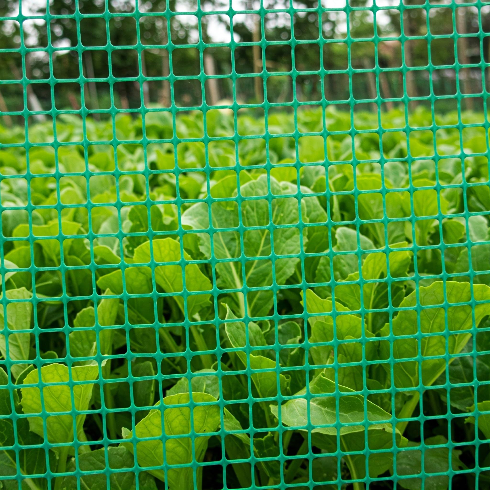 Bobina Malla Plastica Verde | Cuadricula 10mm | 1x30 Metros
