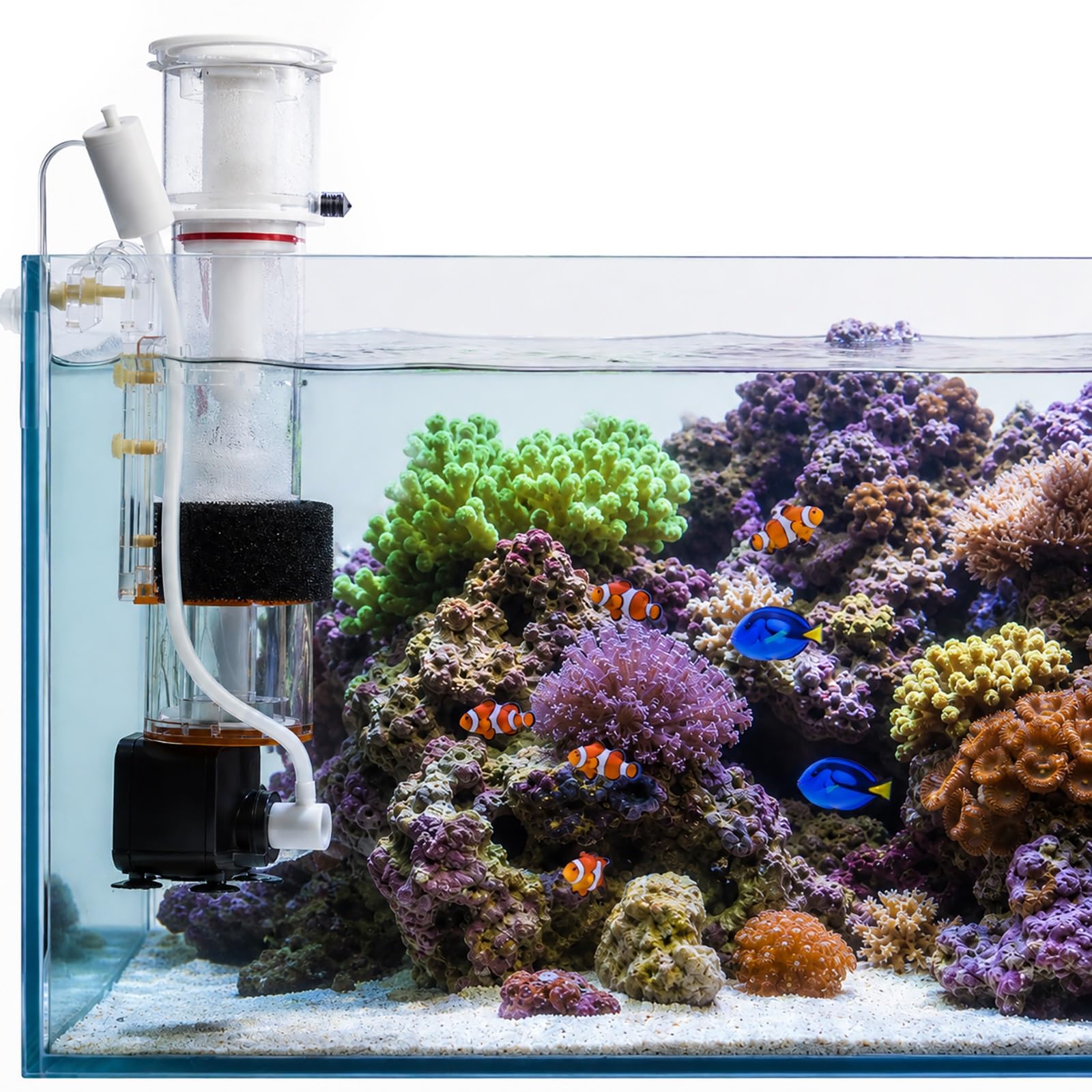 Interner Eiweißabschäumer für Meerwasseraquarien, Meerwasser-Riffaquarien
