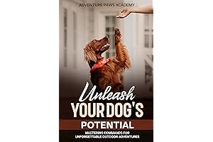 Mastering Commands for Unforgettable Outdoor Adventures with Your Dog