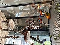 Review Image by Melissa Melissa