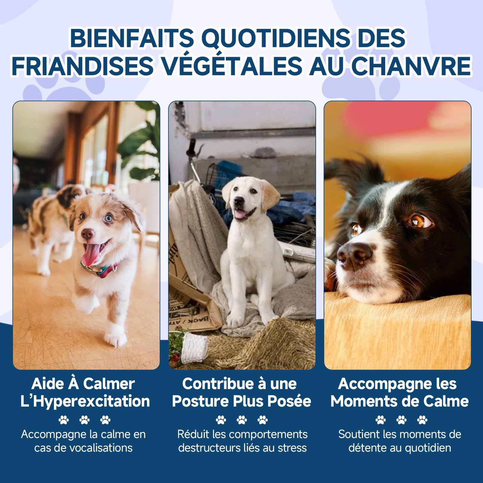 Woyamay Calmantes pour Chien, 200 Pièces Calmant à Mâcher pour Chiens, pour Accompagner Lors de Moments de Séparation, Voyage, Feux d’Artifice ou Orages, Saveur Poulet