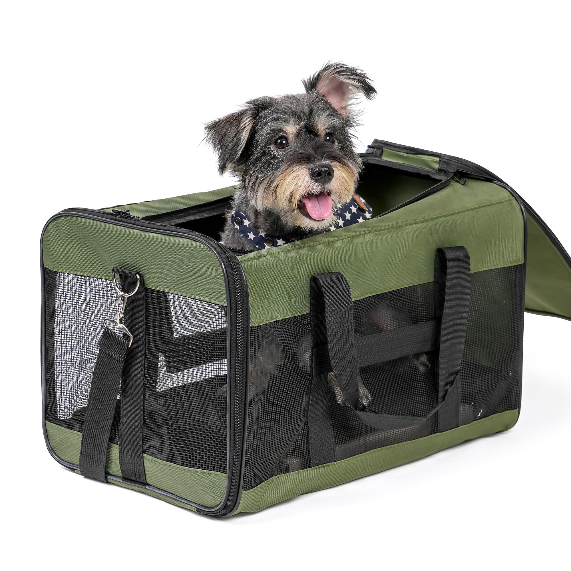 Vegena Transportbox kat hond kattentransportbox hondenbox Vegena Transportbox kat hond kattentransportbox hondenbox
