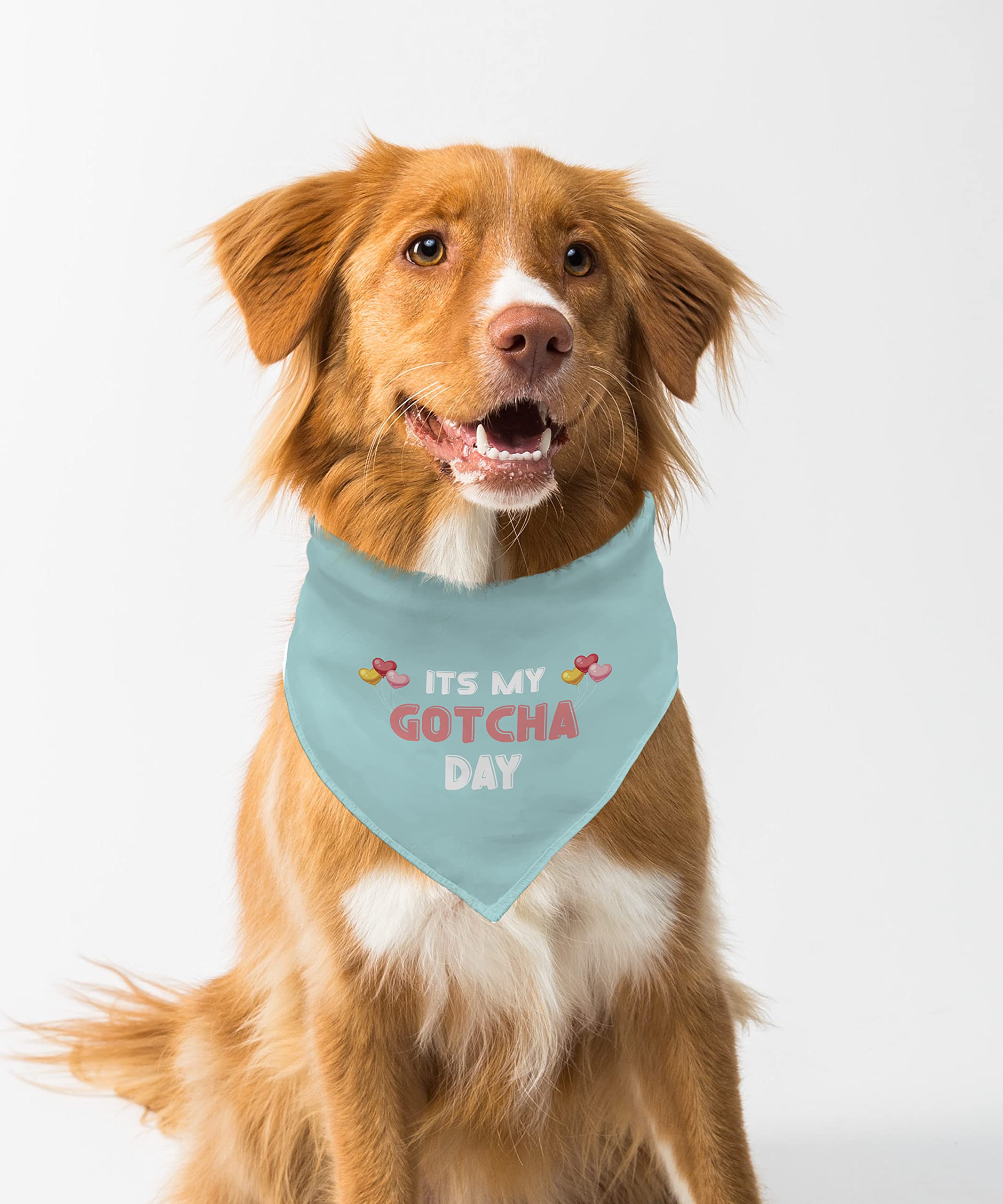 Farnup Dog Bandana | Adjustable & Comfortable, Its My Gotcha Day, Graphic Printed Bandana for Dogs | Dog Scarf, Accessory | Gifts for Dogs-S/M (B0BZN1FNDP) Amazon Price History, Amazon Price Tracker