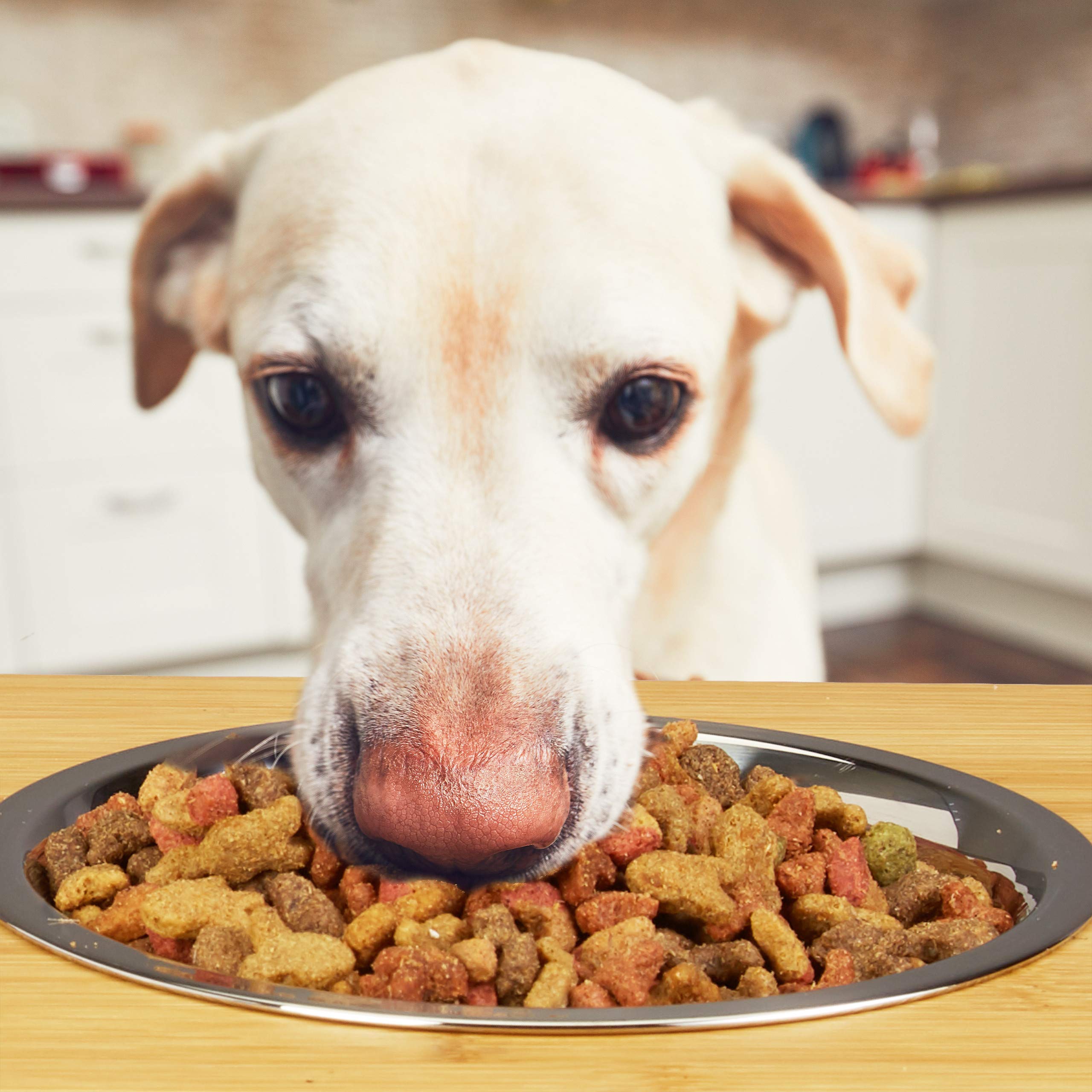 Relaxdays Ciotole per Cani e Gatti, Scodelle per Animali, in Bambù e Acciaio Inox, Lavabile, Argentato Marrone Naturale