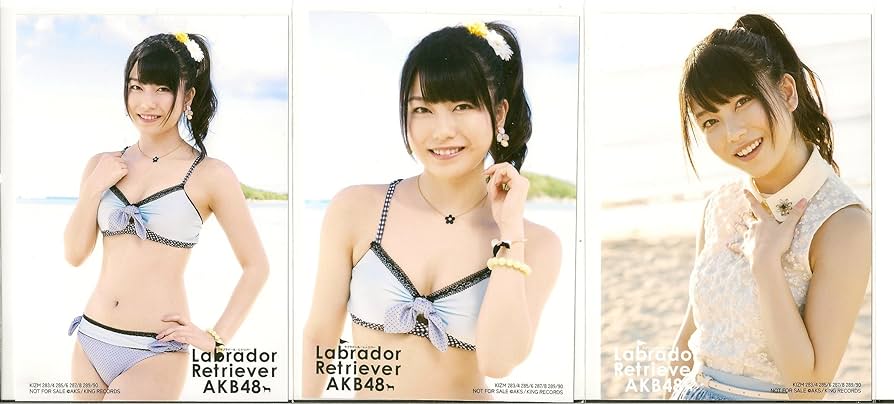 AKB ラブラドールレトリバー 劇場 生写真 ラブラドール・レトリバー」ジャケット・収録曲【AKB48 36th