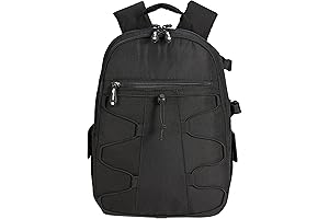 AmazonBasics DSLR Carrying Case