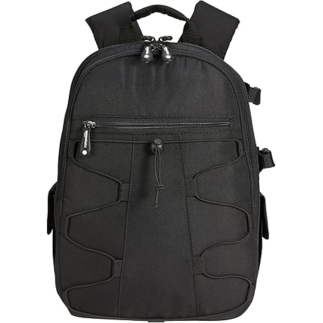 AmazonBasics DSLR Carrying Case