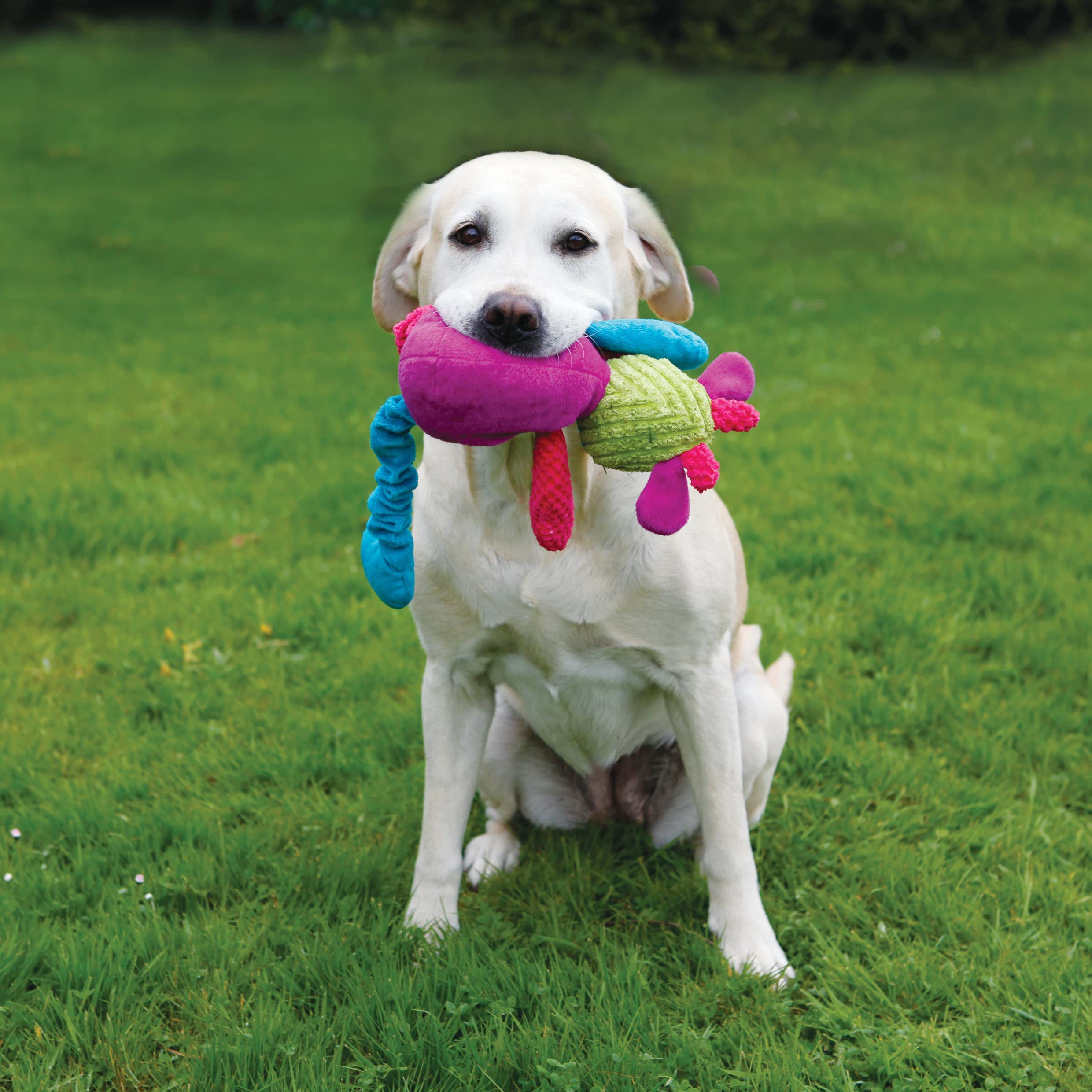 ROSEWOOD Chubleez Chloe Vaca Perro Juguete