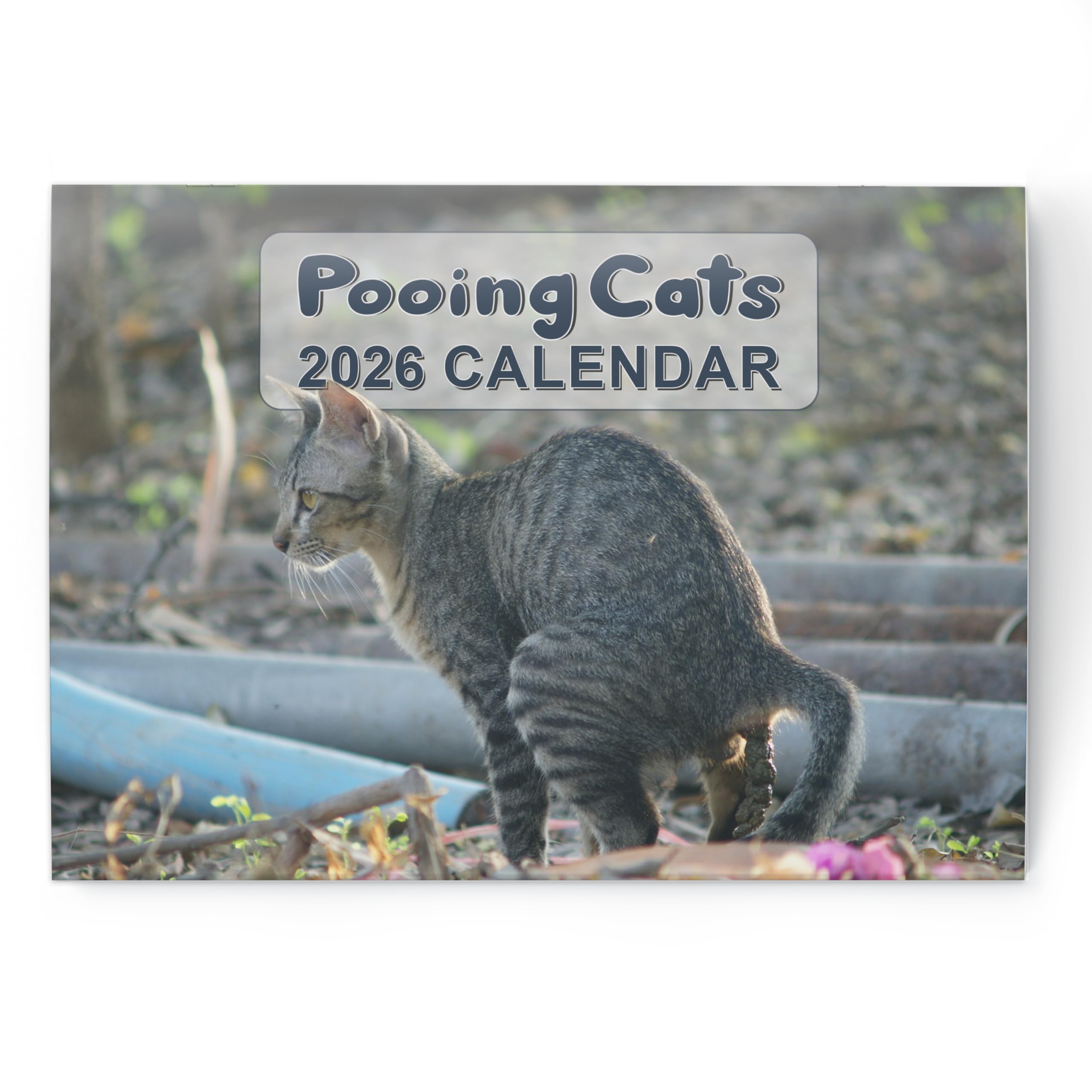 Funny Calendar 2026 Cat Pooping - Month to View A3 When Open - UK Hanging Planner with Naughty Cat Photos - Humorous Gift for Family or Secret Santa