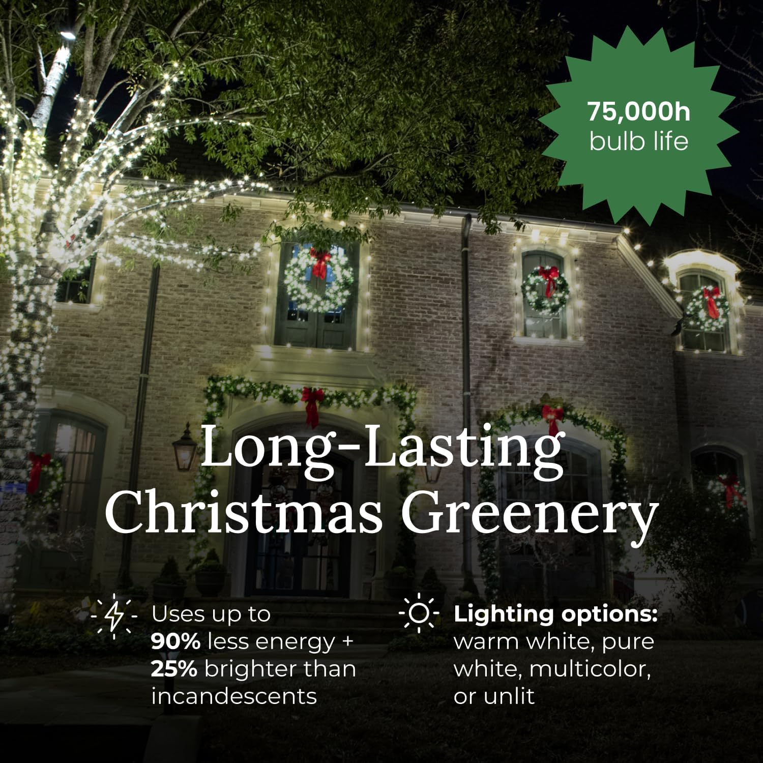 Pro Christmas™ Deluxe Oregon Fir Wreath – 24” Lighted Front Door Christmas Wreath – Outdoor-Rated Commercial Greenery Pre Lit with Plug-in Warm White Lights - Image 5