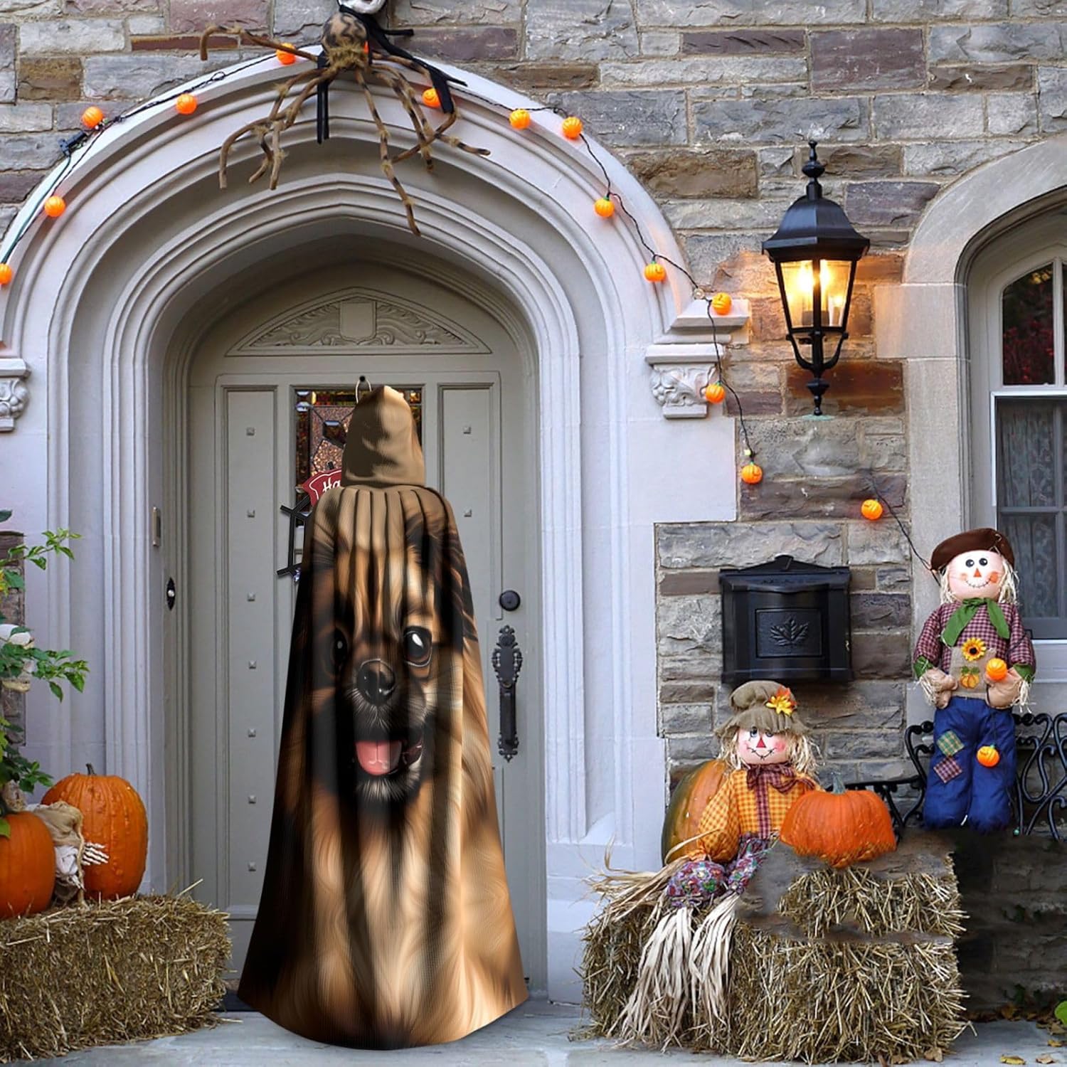 A cute dog painting Unique Darkness Poncho Shawl - Customizable Wearable Blanket for Women, Perfect Halloween Costume Accessory, Knight, Akatsuki, and More