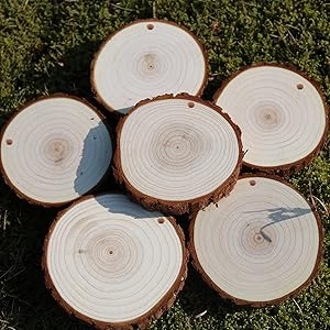 SENMUT Wood Slices 30 Pcs 3.1-3.6inch Natural Rounds Unfinished Wooden Circles Christmas Ornaments for Crafts Wood Kit Predrilled with Hole Wood Coasters, Craft Supplies for DIY and Painting