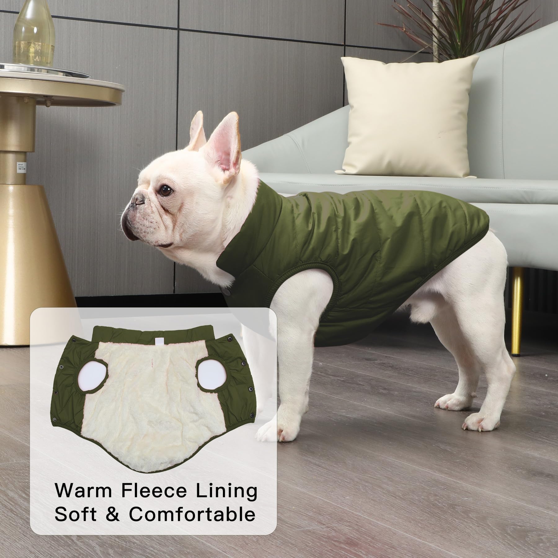 JoyDaog - Cappottino per cani foderato con 2 strati di pile, antivento, molto caldo e morbido, perfetto per l'inverno e il freddo, ideale per cuccioli, verde, XXXL
