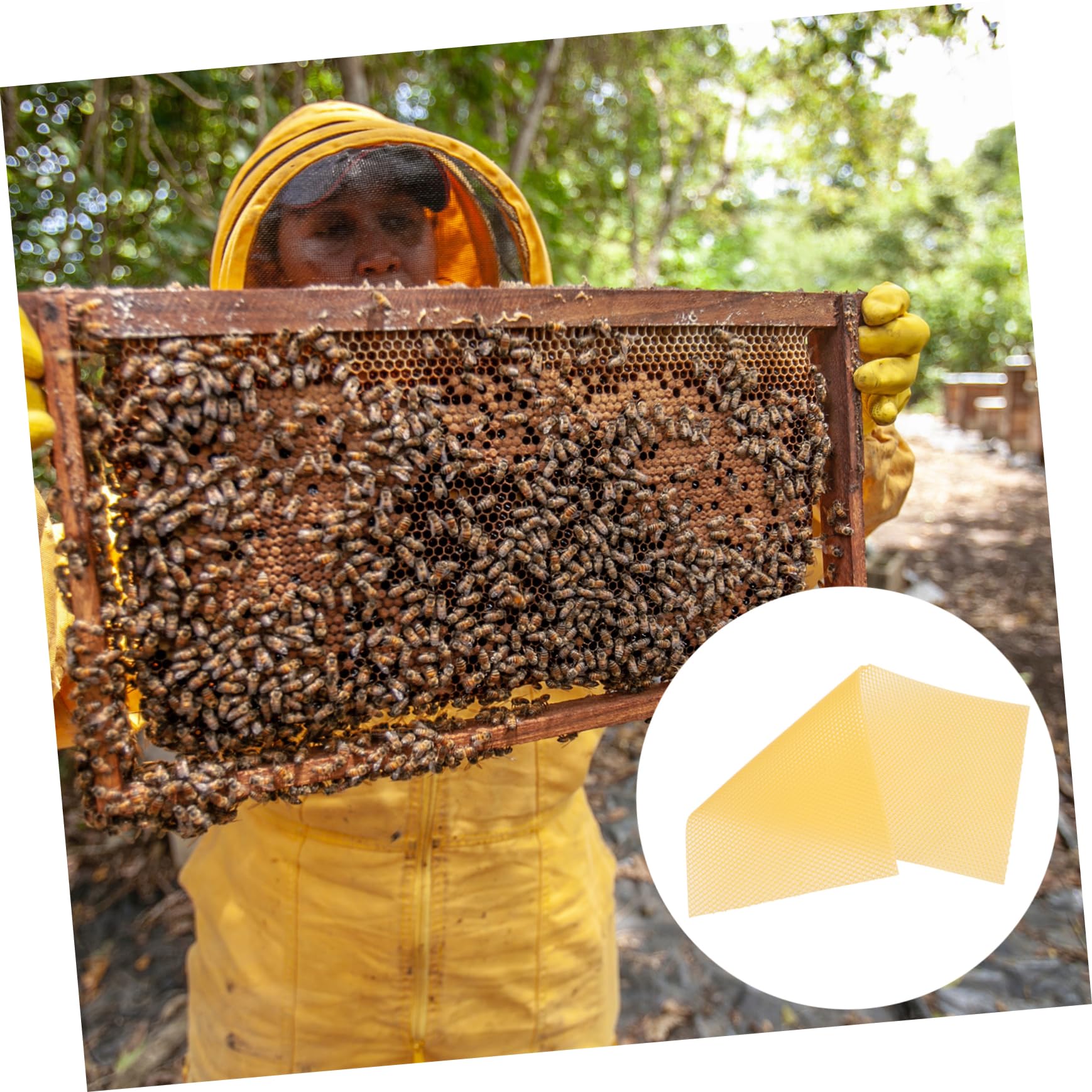 Fogli Cerei Apicoltura Beehive Waxed Foundation Sheet 30 Pezzi | Cera D'api Gialla, Aroma Lieve e Resa Elevata, per Progetti Fai da Te e Verniciatura Mobili