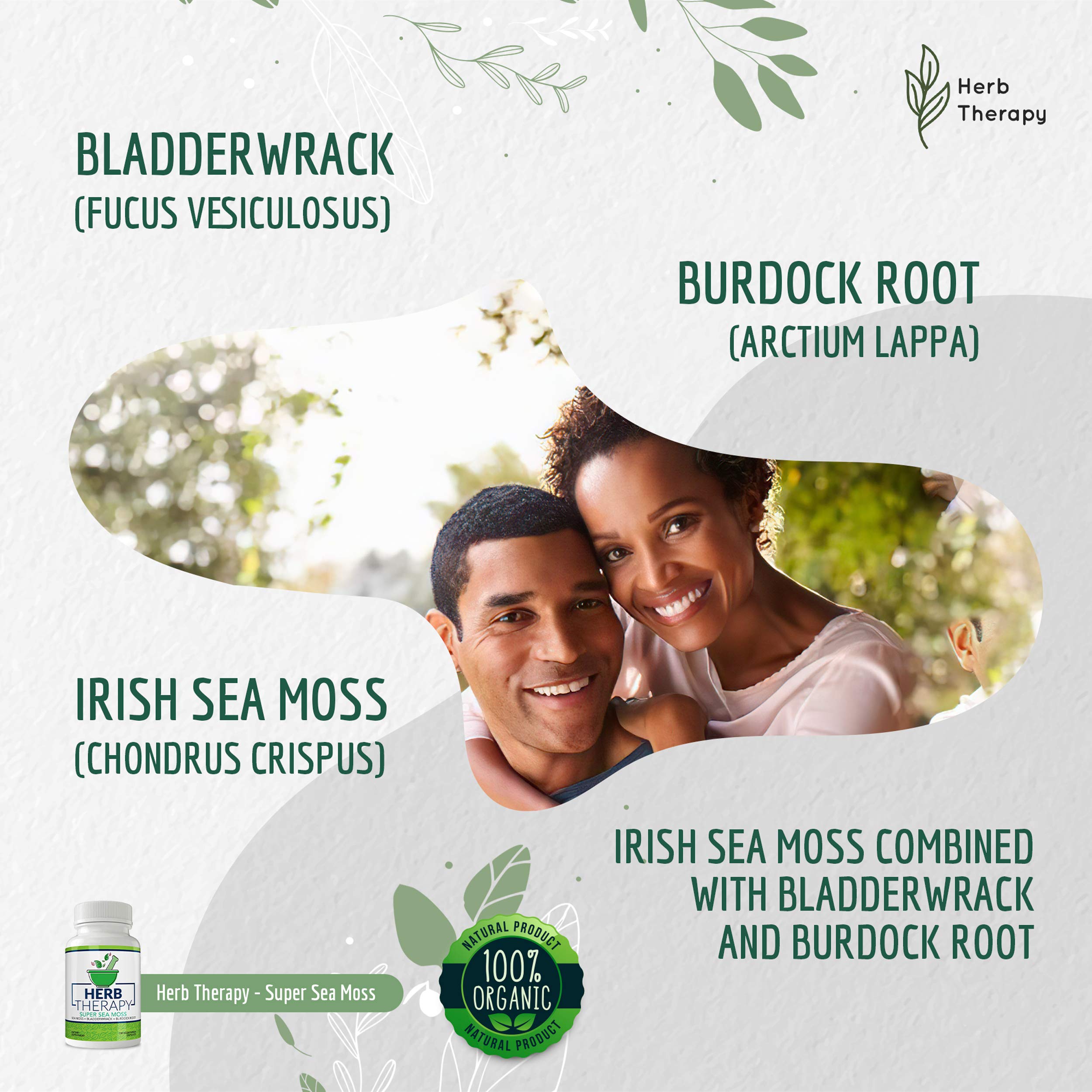 Buy Herb Therapy Super Sea Moss Organic Irish Sea Moss Capsules (100ct