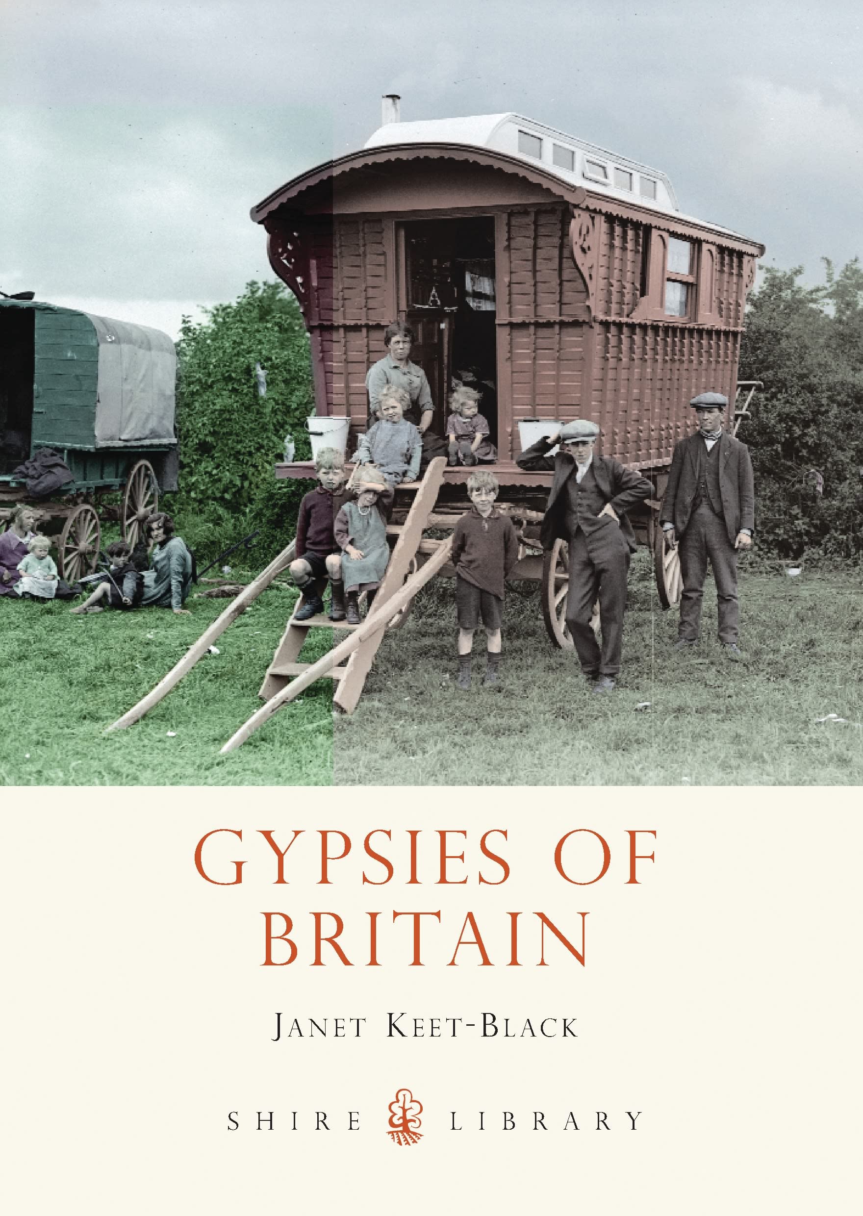 Gypsies of Britain: 738 (Shire Library)