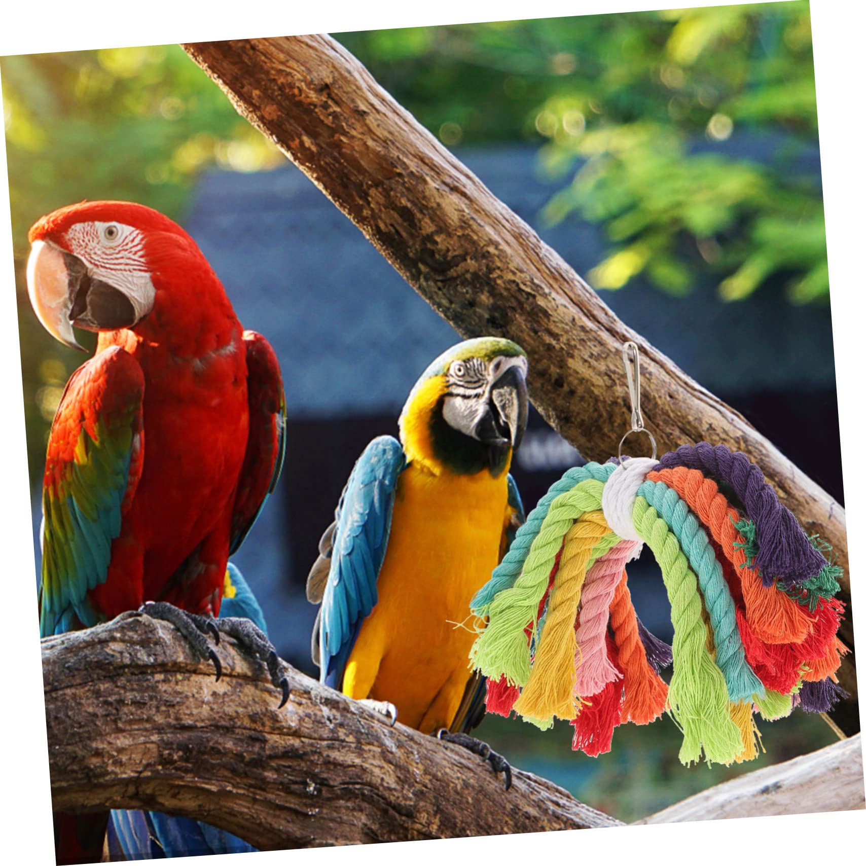 VANZACK 5pièces Jouet à Mâcher pour Perroquet Coton Accessoire Et Sûr pour Oiseaux Favorise Le Jeu Détente pour Cage à Oiseaux