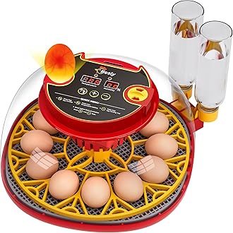 12 Egg Incubator for Hatching Eggs,Automatic Turning,Temperature and Humidity Control Display,360° Viewing for Chicken, Duck, Quail Eggs, Ideal for Farm, Classroom, Home Use,2025 Upgraded Incubators