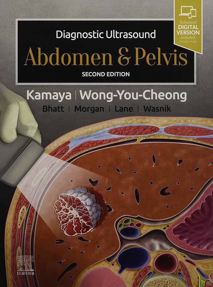 語学・辞書・学習参考書 TEXTBOOK OF ABDOMINAL ULTRASOUND 語学・辞書・学習参考書 TEXTBOOK OF ABDOMINAL ULTRASOUND 語学