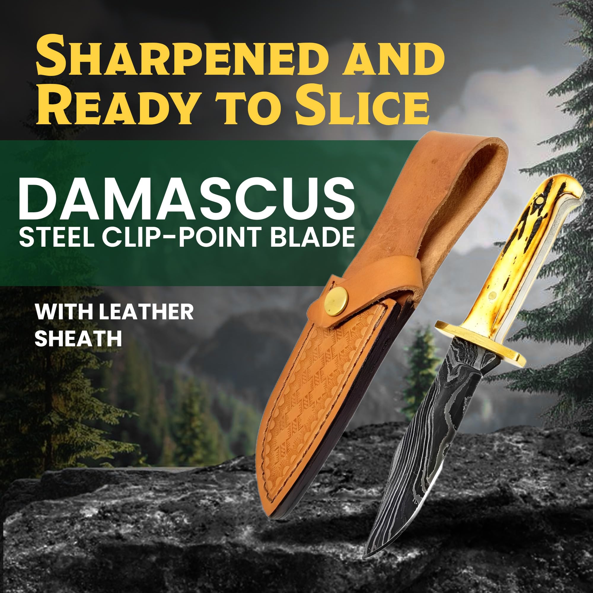 | Bear &amp; Son Cutlery 6 1&frasl;2インチ 固定刃 ベビーボウイ