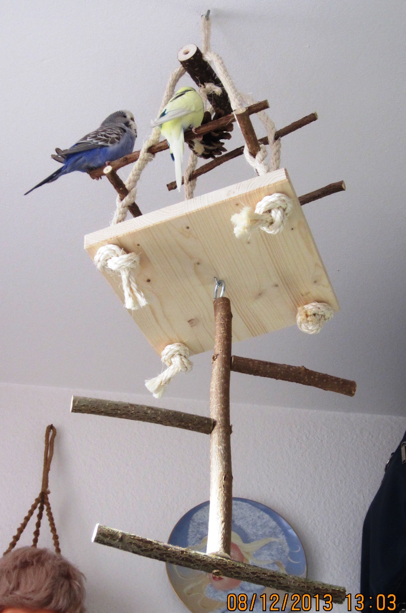 Vogelgaleria® Artgerechtes Wellensittich Spielzeug Set, 4X Vogelzubehör mit Vogelspielplatz, Sitzstangen Schaukel