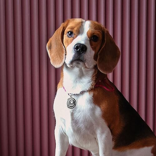 Miniatura 6 de Etiquetas de identificación personalizadas para mascotas, código QR personalizable, etiqueta de perro y gato  Perfil en línea para mascotas