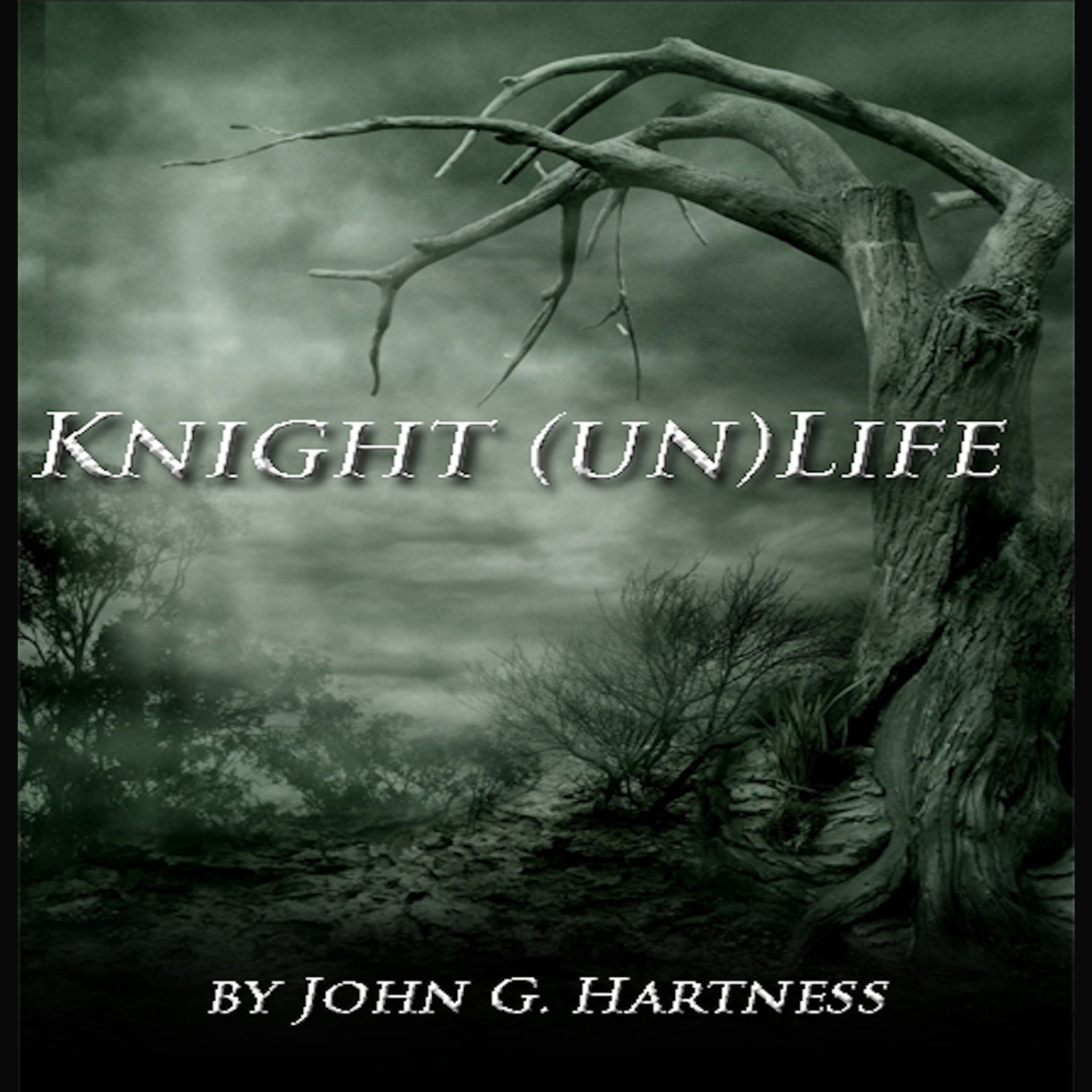 Cover art for Knight (un)Life