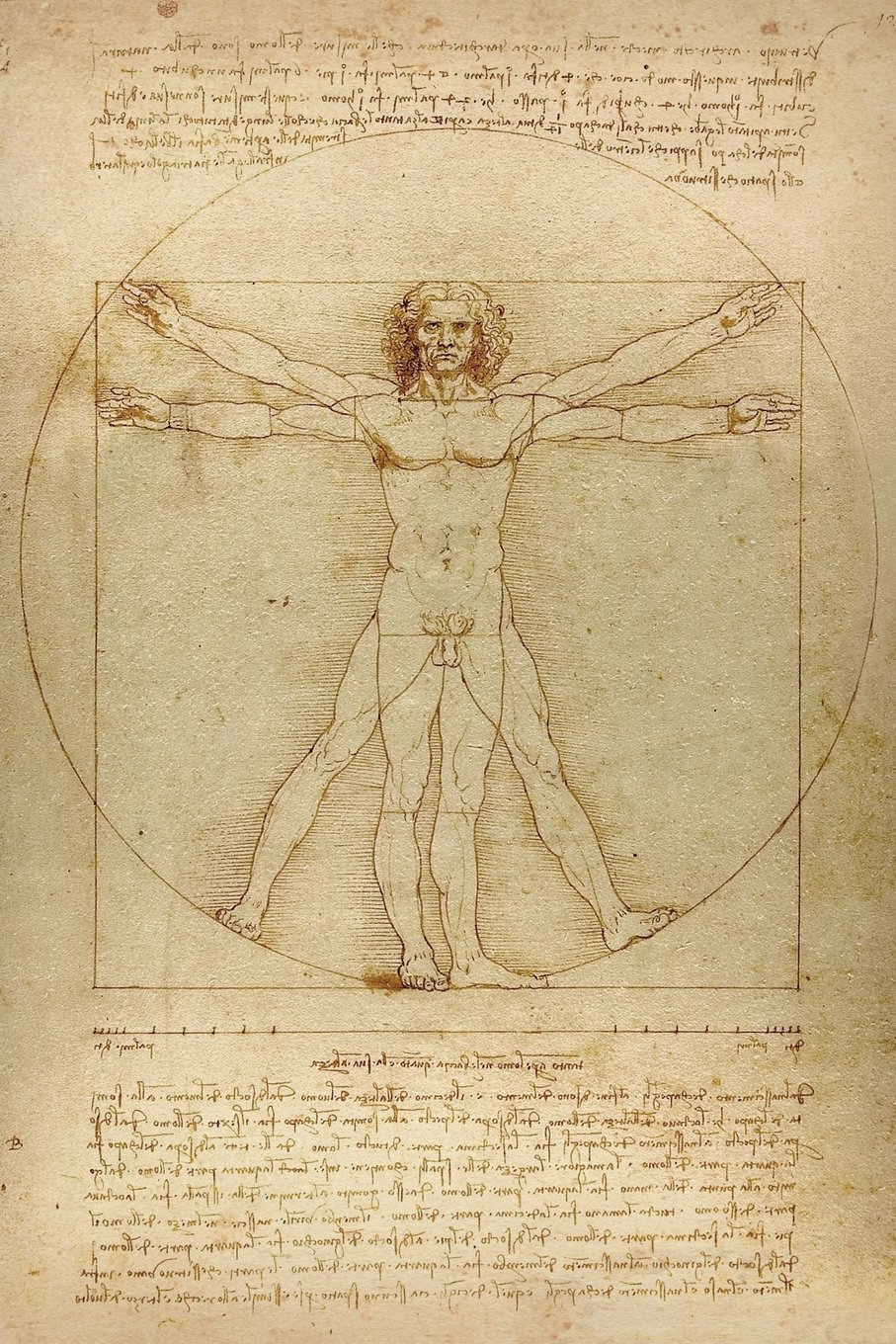 Leonardo da Vinci Notebooks - The Vitruvian Man: 120 College ruled lined pages - Leonardo da Vinci’s Notebook, Journal, Sketchbook, Diary, Manuscript (The Vitruvian Man)
